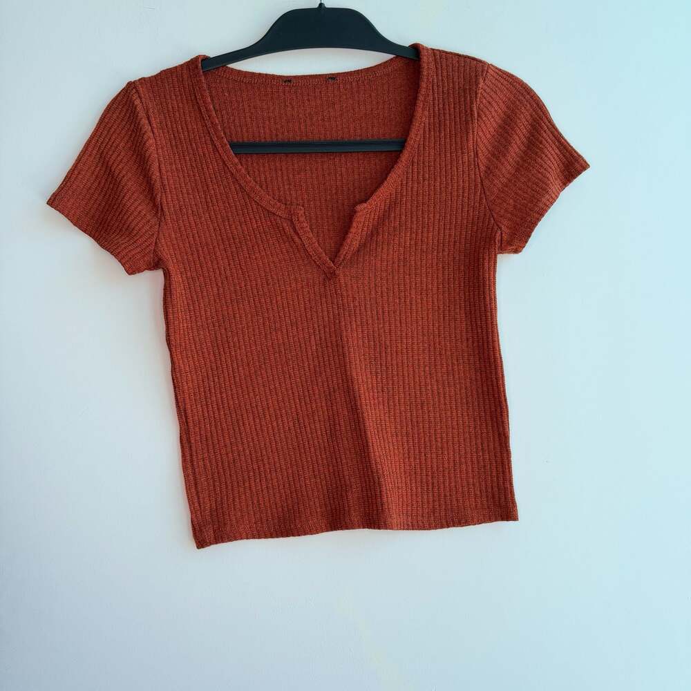 Rust Ribbed Notch Neck Short Sleeve Crop Top